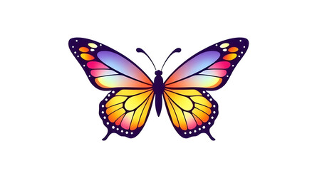 butterfly isolated on white