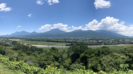 forest view decorated with mountains and sunlight