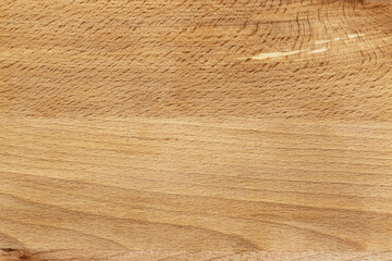 Close-up view of a smooth, light-colored wood surface showcasing fine grain patterns and natural texture in a well-lit environment