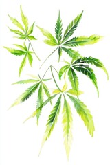 Obraz premium National Hemp Day Vibrant green botanical leaves watercolor art for natural design