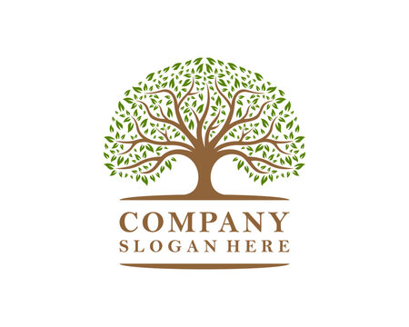 Abstract Oak Tree Nature Tree Of Life Vintage Vector Logo Design Illustration