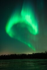 Vibrant Aurora Borealis over Forest