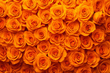 orange roses background for wedding decoration