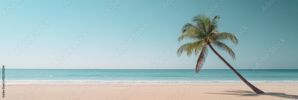 Poster single palm tree leaning over a beautiful white sand beach with calm turquoise ocean and clear blue 