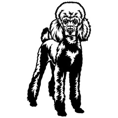 Fototapeta premium Poodle Dog Breed - Pet Vector Cut file, Dog Silhouette Stencil - Cricut file