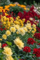 A vibrant garden filled with colorful flowers in full bloom.