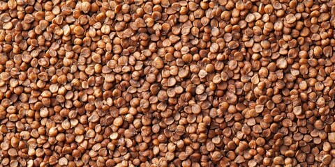 Close up shot of brown buckwheat grains creating an appealing background. This brown buckwheat image showcases the unique texture and color of buckwheat grains beautifully.
