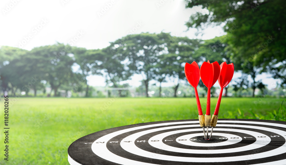 Poster three dart on target with field background