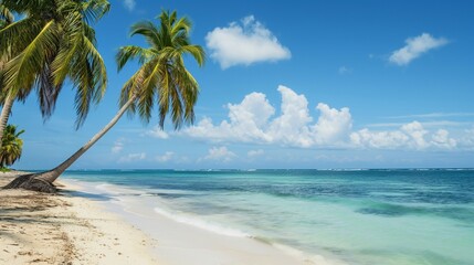 "Tropical Paradise with Crystal-Clear Waters and Lush Palm Trees"

