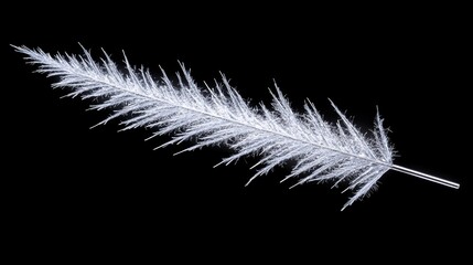 Obraz premium Delicate Frosted Leaf on a Black Background for Stock Photography
