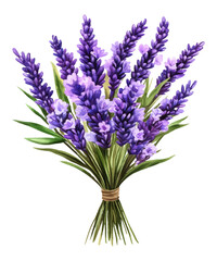 Naklejka premium bouquet of lavender