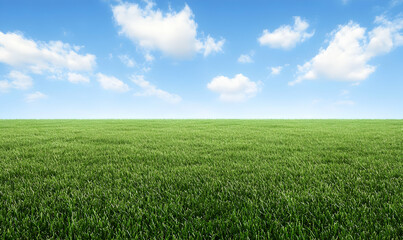 Obraz premium Serene landscape featuring a vast expanse of lush green grass under a vibrant blue sky dotted with fluffy white clouds. Ideal for backgrounds, nature themes, and tranquility concepts.