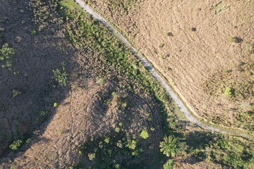 Imagem aérea obtida com sobrevoo de drone de uma área desmatada em recuperação florestal. © Ricardo_S_Levenhagen