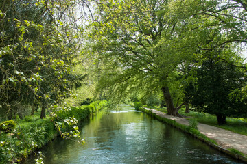 view of The River Test Hampshire England one of Hampshire's finest chalk streams