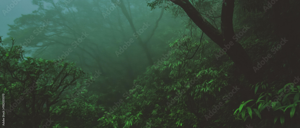 Poster ethereal forest trees captured in blurred motion during a mystical twilight setting