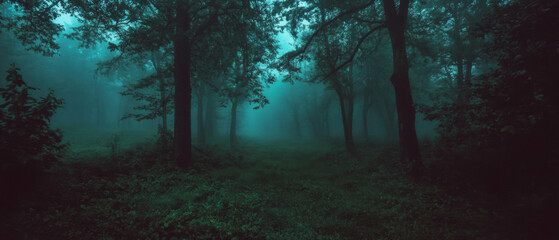 Fototapeta premium Mysterious fog envelops a lush forest creating an atmospheric escape