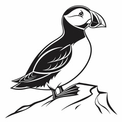 Puffin vector silhouette black design white background