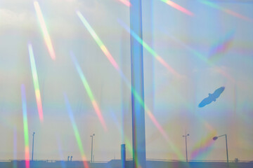 prismatic sun rays on glass barrier with flying bird silhouette distant highway and street lights