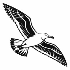Seagull vector silhouette black design white background