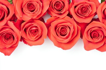 Obraz premium Red roses gathered into a colorful bouquet for background purposes
