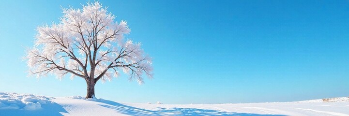 Fototapeta premium Frosty trees and branches against a bright blue sky, icy landscape, tree,