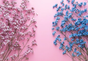 A photograph of baby's breath flowers in pastel colors on the right side, against a solid pink background.