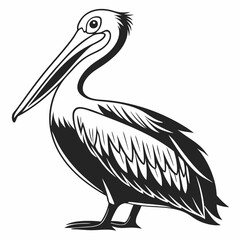 Pelican vector silhouette black design white background
