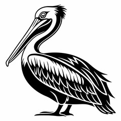Pelican vector silhouette black design white background