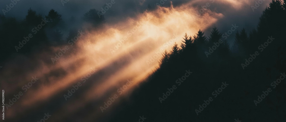 Poster mysterious beams of light piercing through fog in a dense forest at dawn