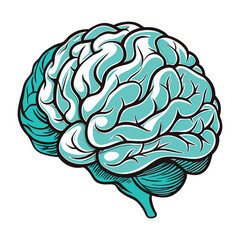 Human Brain Vector Illustration
