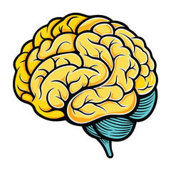 Human Brain Vector Illustration