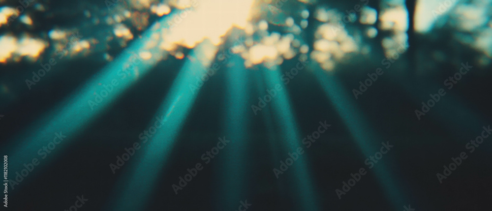 Aufkleber sunlight filtering through trees creates a serene atmosphere with beams of light