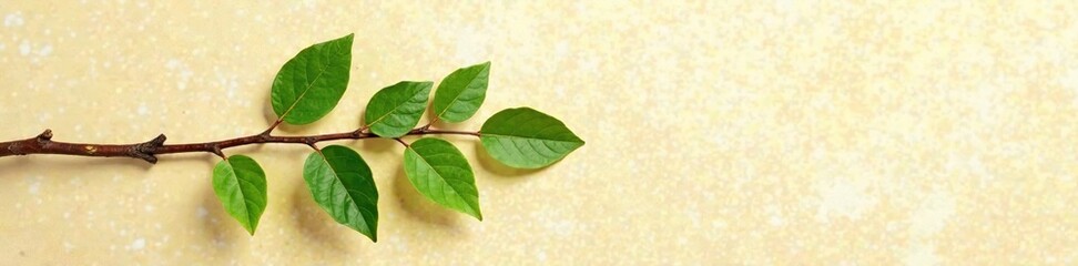 Fototapeta premium Leafy branch with twigs and small leaves on beige textured ground, beige background, twig