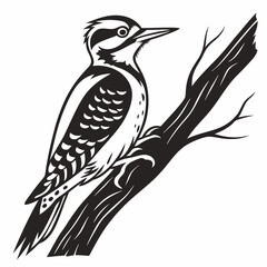 Obraz premium Woodpecker vector silhouette black design white background
