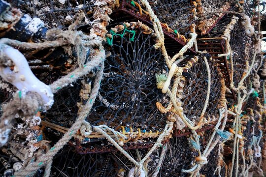 lobster pots and ropes