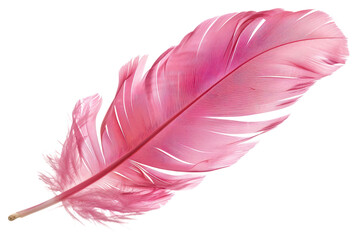 PNG Pink feather art accessories decoration.