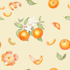 Peeled mandarin watercolor. Set of mandarin fruit design elements. Ripe orange watercolor. Orange fruit vitamin. Food illustration , pattern