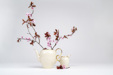 Still life with a pink blossoming branch in an elegant porcelain teapot with gold edging on a white background