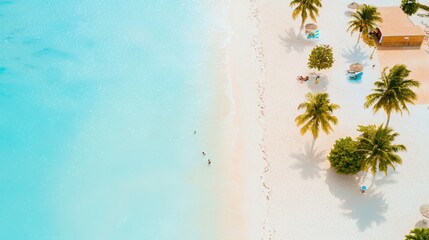 Tranquil Beach Scene with Palm Trees and Clear Water