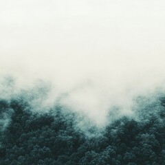 Misty Forest Landscape: Serene Nature Scene with Ethereal Fog and Lush Greenery Capturing Tranquility and Wilderness in Natural Beauty.