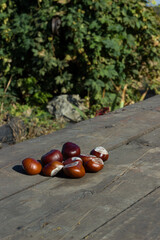 Dried chestnut on a wooden table. Boguchar village.