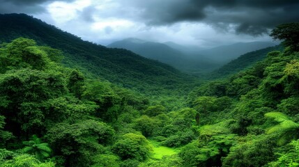 Lush Green Rainforest Valley Under Dramatic Sky