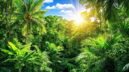 Obraz premium Lush Tropical Rainforest Sunlight Scene