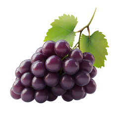 Fototapeta premium A Lush Bunch of Dark Purple Grapes
