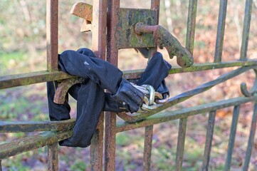A chain lock with a padlock firmly attached to an old rusty metal and forged gate with a separately...