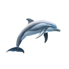 Obraz premium Majestic Dolphin Leaping Gracefully Through Ocean Waters
