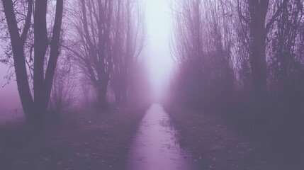 Fototapeta premium Misty Purple Pathway Through Foggy Winter Trees