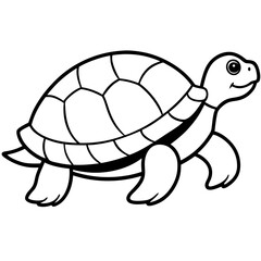 Turtle on white background