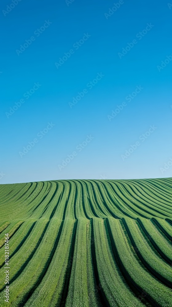 Poster cultivated green field creating beautiful patterns across rolling hills under a vibrant blue sky pro