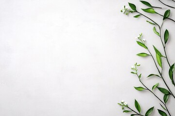 Elegant Green Leaves and Blossoms on White Background for Nature-Themed Projects